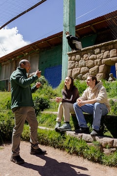 Rencontrez des animaux de refuge et des alpagas