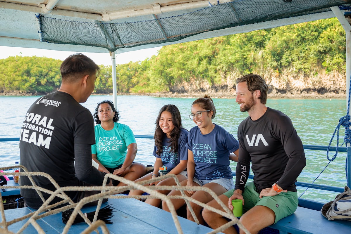 Build your own coral reef