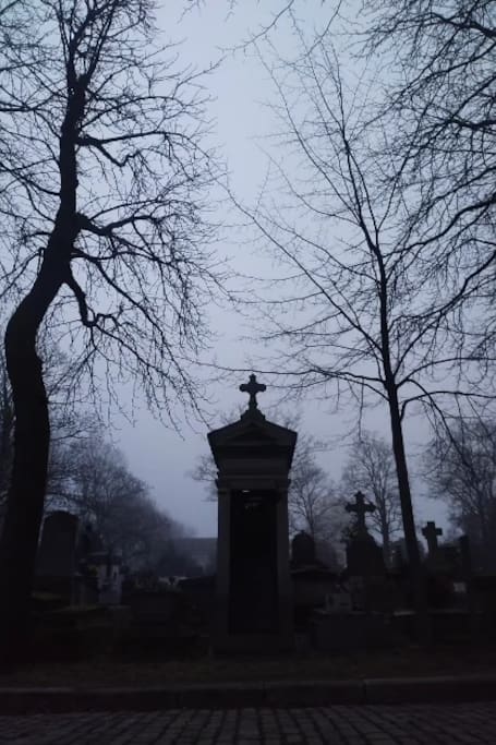 ヴァンパイアの歴史家と一緒に古代の墓地を散策しよう