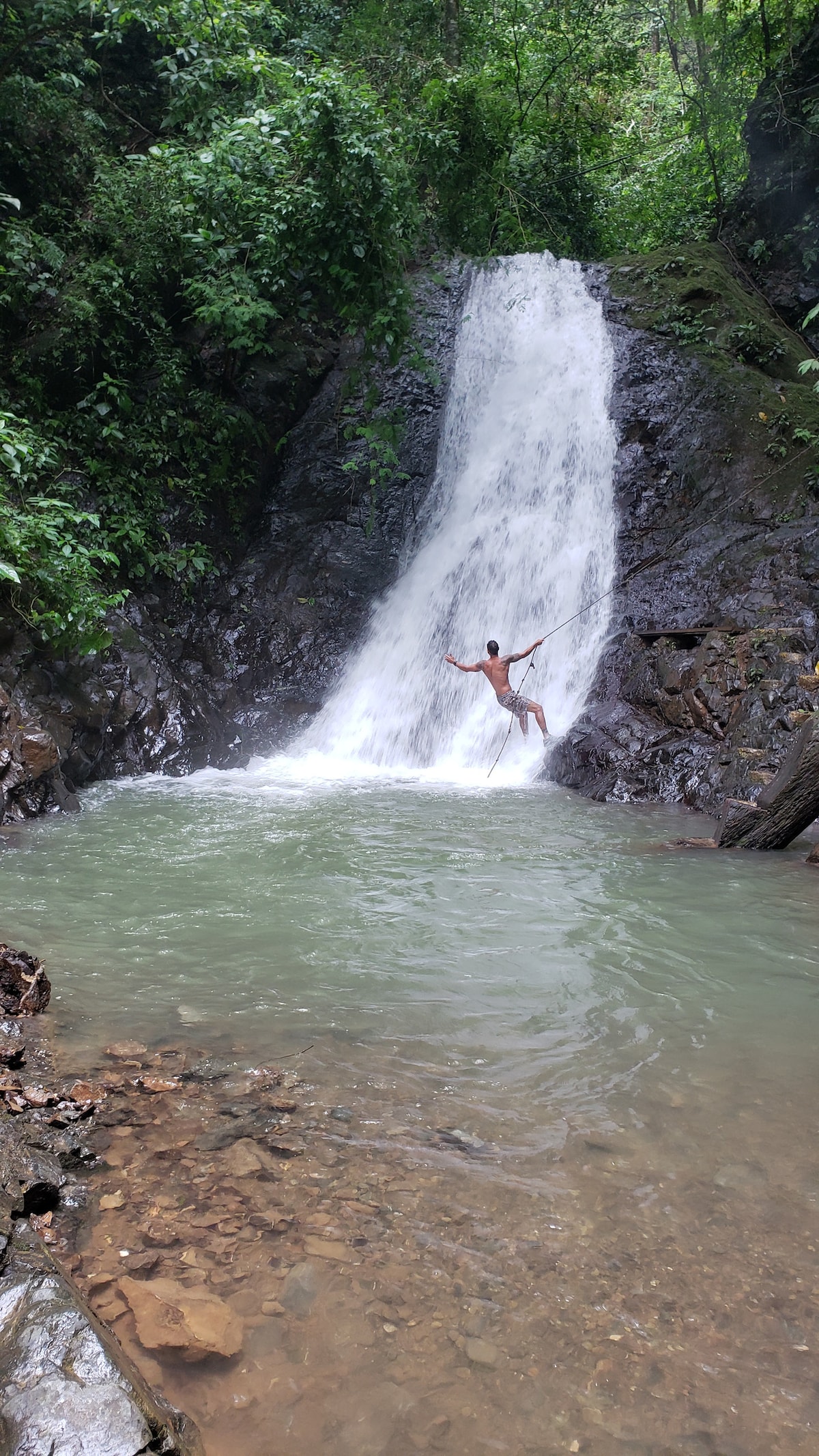 Was du in Jacó unternehmen kannst Einzigartige Touren & Aktivitäten