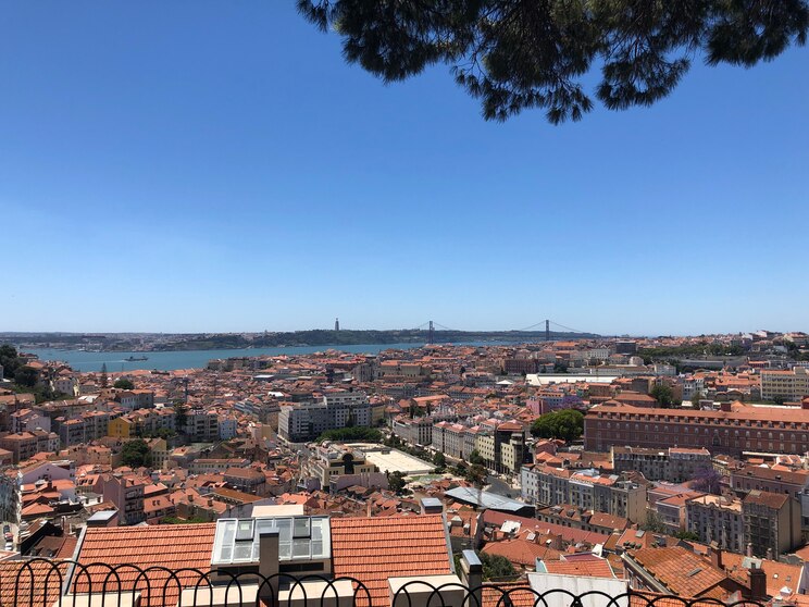 Show full-screen, host-provided image