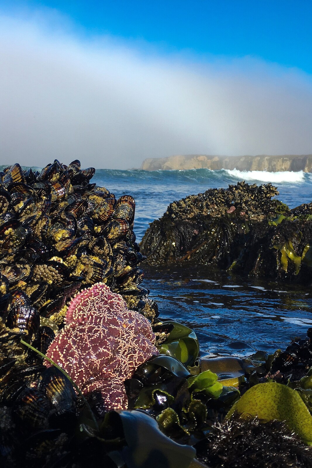 Tide Pools And Coastal Cave