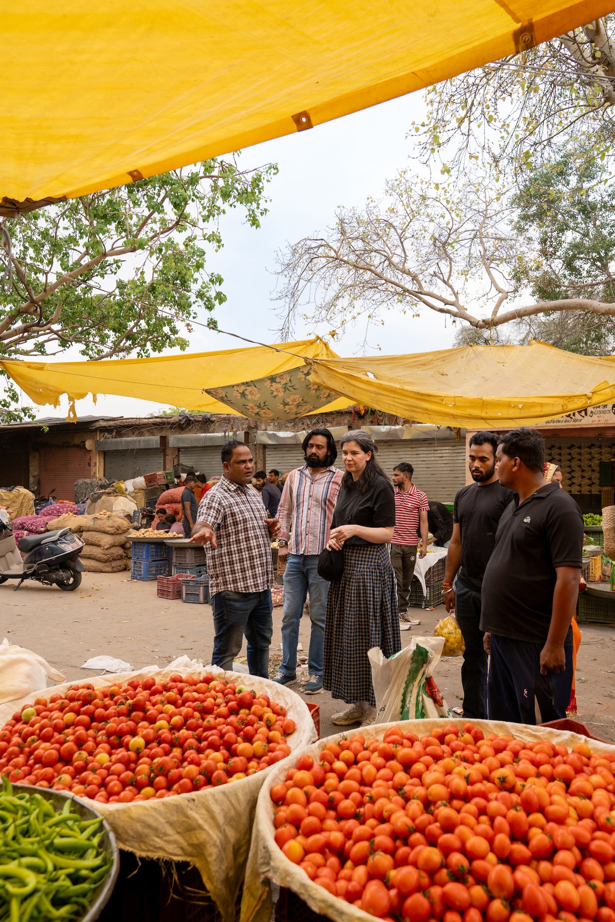 Unlock Jaipurs flower market with storyteller