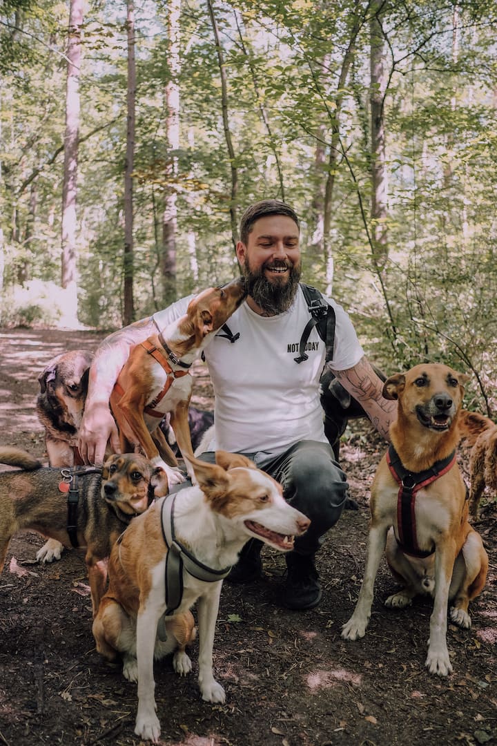 Mit Hunderudel Gemeinsam Wandern Airbnb