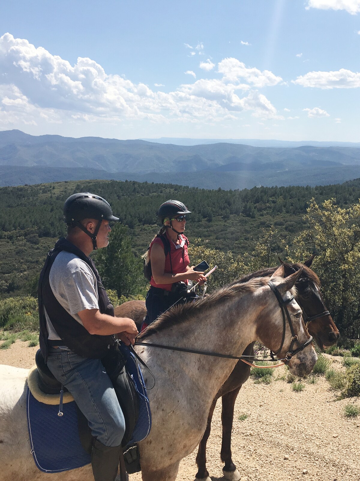 Best Things to Do in Valencian Community Unique Tours & Activities