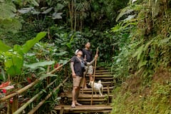 Cascada de Ubud Bali en un día