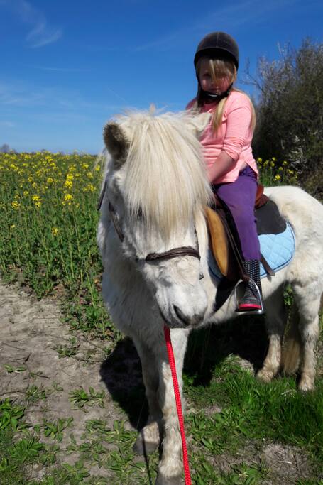 Airbnb Bollingstedt Vacation Rentals Places To Stay