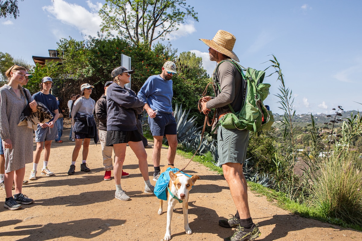 Explorez le panneau Hollywood avec un comédien