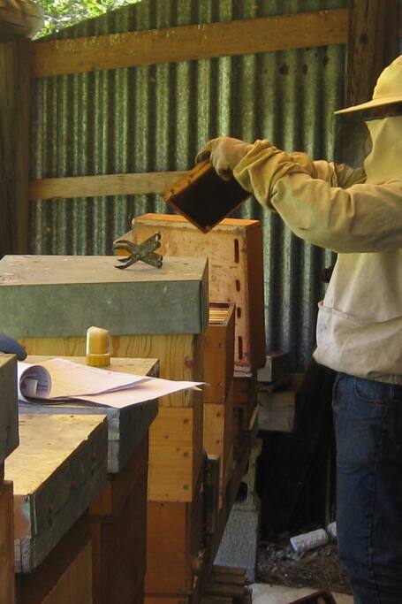 Seance Cinema Casino Gerardmer Seance Cinema Casino Gerardmer