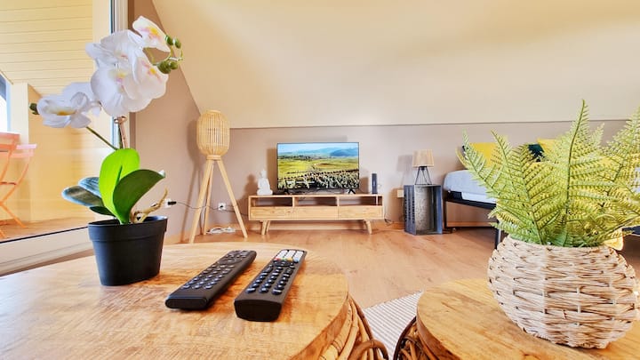 L'evasion - Balcon - Fibre - Calme - Rbnb - Ensisheim