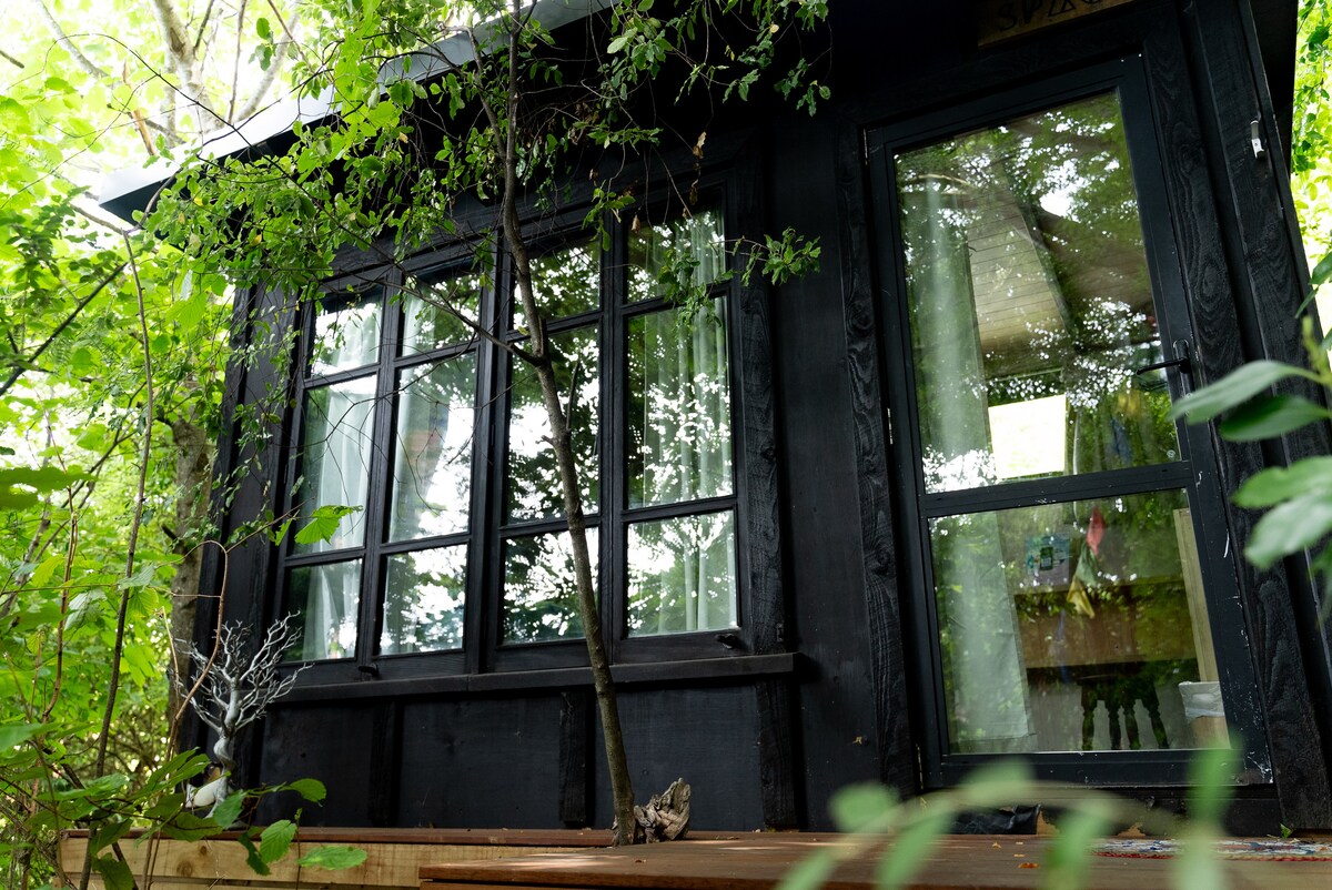 The exterior of the cabin is surrounded by lush greenery, with large windows offering glimpses of the interior. The dark wood structure contrasts with the vibrant foliage. A wooden deck is visible, providing an inviting entryway.