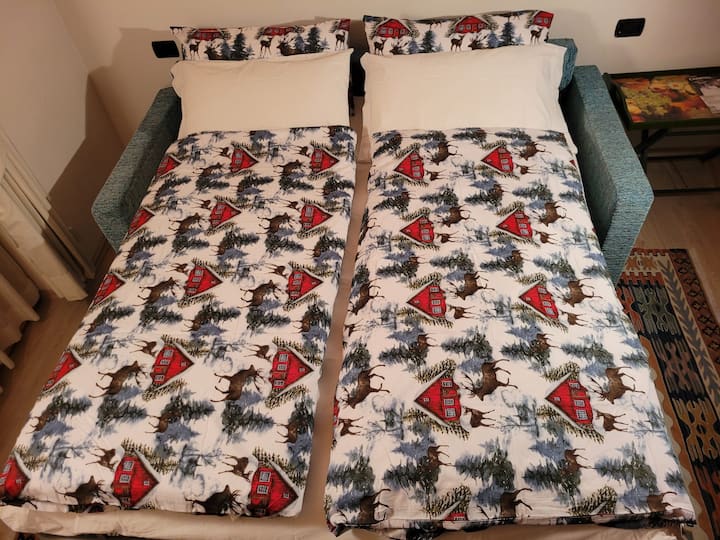 ספה נפתחת בסלון