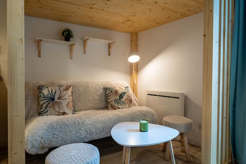Annonce Airbnb populaire: Cozy studio / Saint-Laurent historic district à Grenoble