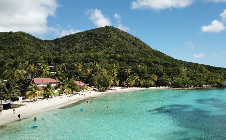 A serene beach scene is captured with gentle waves lapping on a sandy shore. Lush greenery lines the beach, with palm trees providing shade. The vibrant blue water contrasts softly with the white sand, while a distant hill is visible, adding depth to the picturesque landscape.