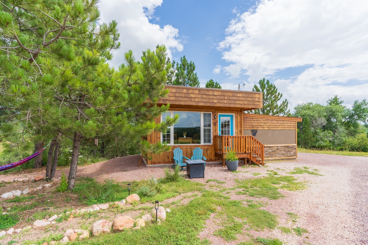 The cabin's exterior features a welcoming entrance with a wooden deck and blue door. Bright blue Adirondack chairs are positioned on the stones, surrounded by lush greenery and rugged terrain. Towering pine trees add natural beauty to the setting, enhancing the overall landscape.
