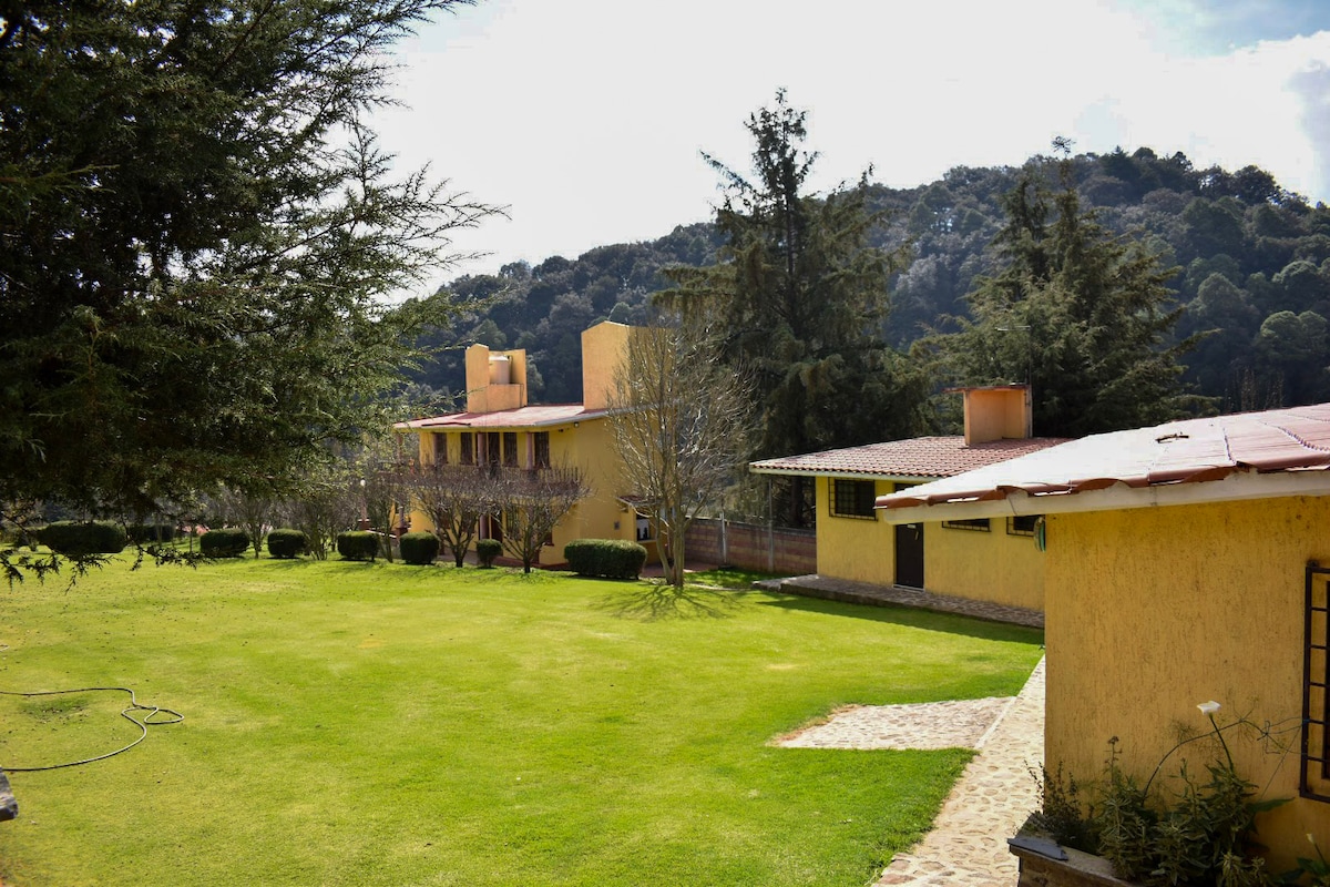 A vibrant green lawn stretches across the area, dotted with neatly trimmed shrubs. Two yellow cabins with terracotta roofs are visible, framed by tall pine and oak trees that rise in the background. A stone pathway leads through the serene outdoor space.