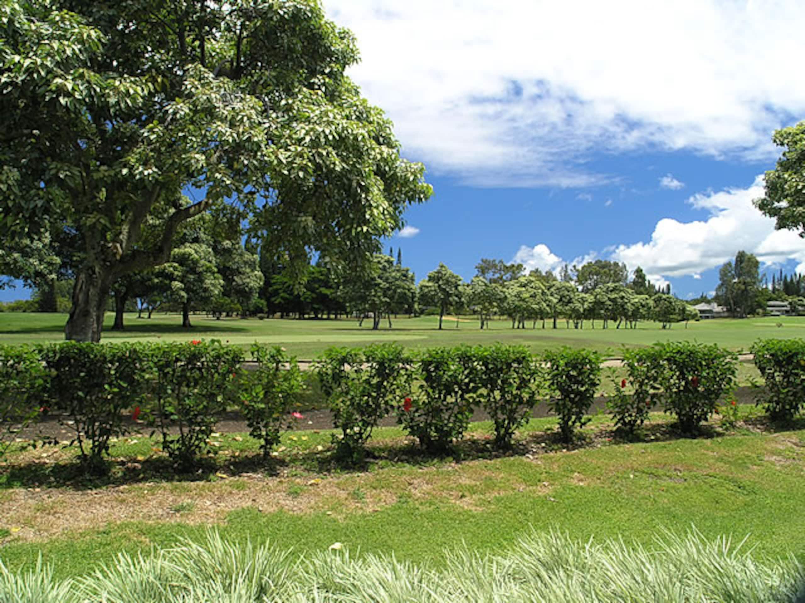Villa in Princeville · ★4.5 · 3 bedrooms · 3 beds · 3 shared baths - Image 20