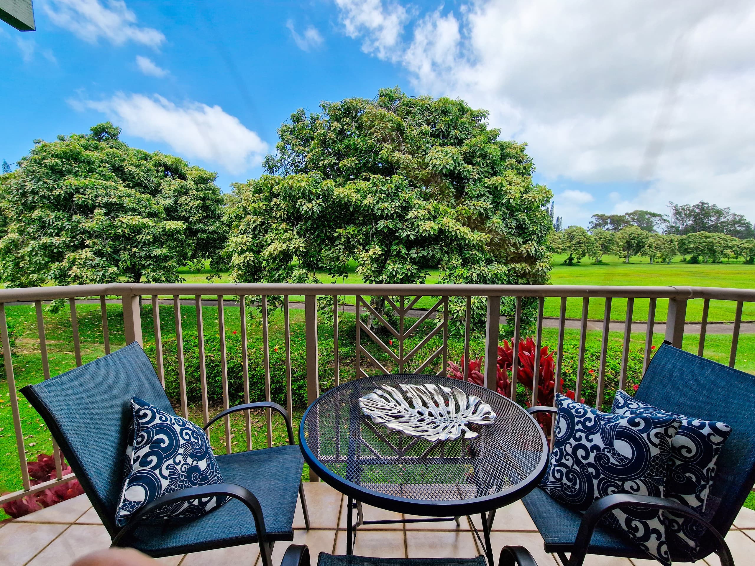 Villa in Princeville · ★4.5 · 3 bedrooms · 3 beds · 3 shared baths - Image 19