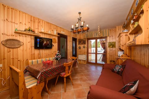 The pine forest of Jupiter