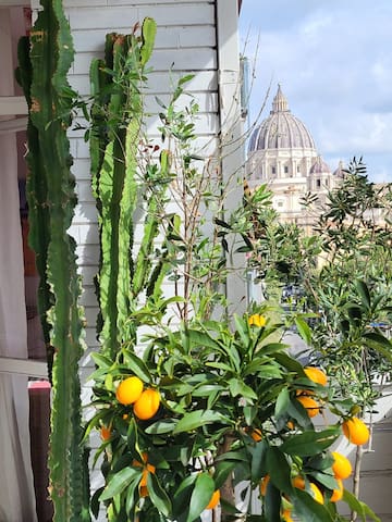 Roma Vaticano St Peter’s Panoramic View Apartment