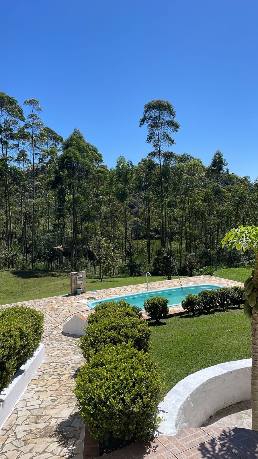 A clear view of a private pool surrounded by well-maintained grass and landscaping. Towering trees and greenery form a natural backdrop, enhancing the serene outdoor space. A stone pathway guides the sight toward the pool, integrating nature with the relaxation area.