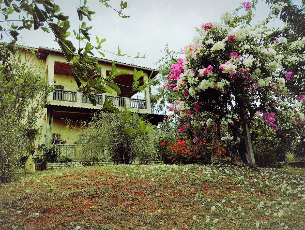A vibrant garden features lush greenery and colorful flowering plants, including bougainvillea. A two-story house is seen in the background, showcasing a balcony with wooden railings. The grassy area is dotted with fallen petals, adding to the serene outdoor ambiance.