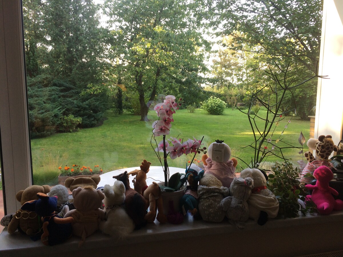 A wide window displays a lush garden filled with greenery and trees. A collection of plush toys is arranged on the windowsill, accompanied by pink orchids and other plants, offering a playful contrast to the serene outdoor scenery.
