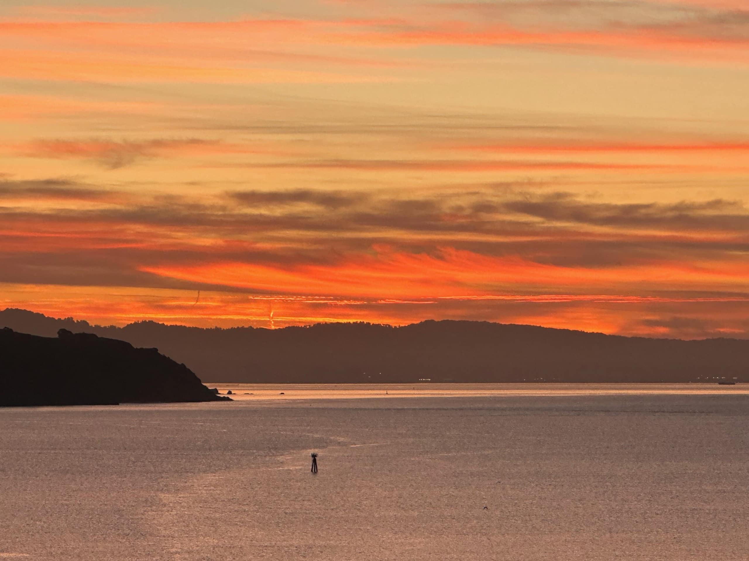 Sausalito Guesthouse Marina & SF Skyline Views - Photo 15
