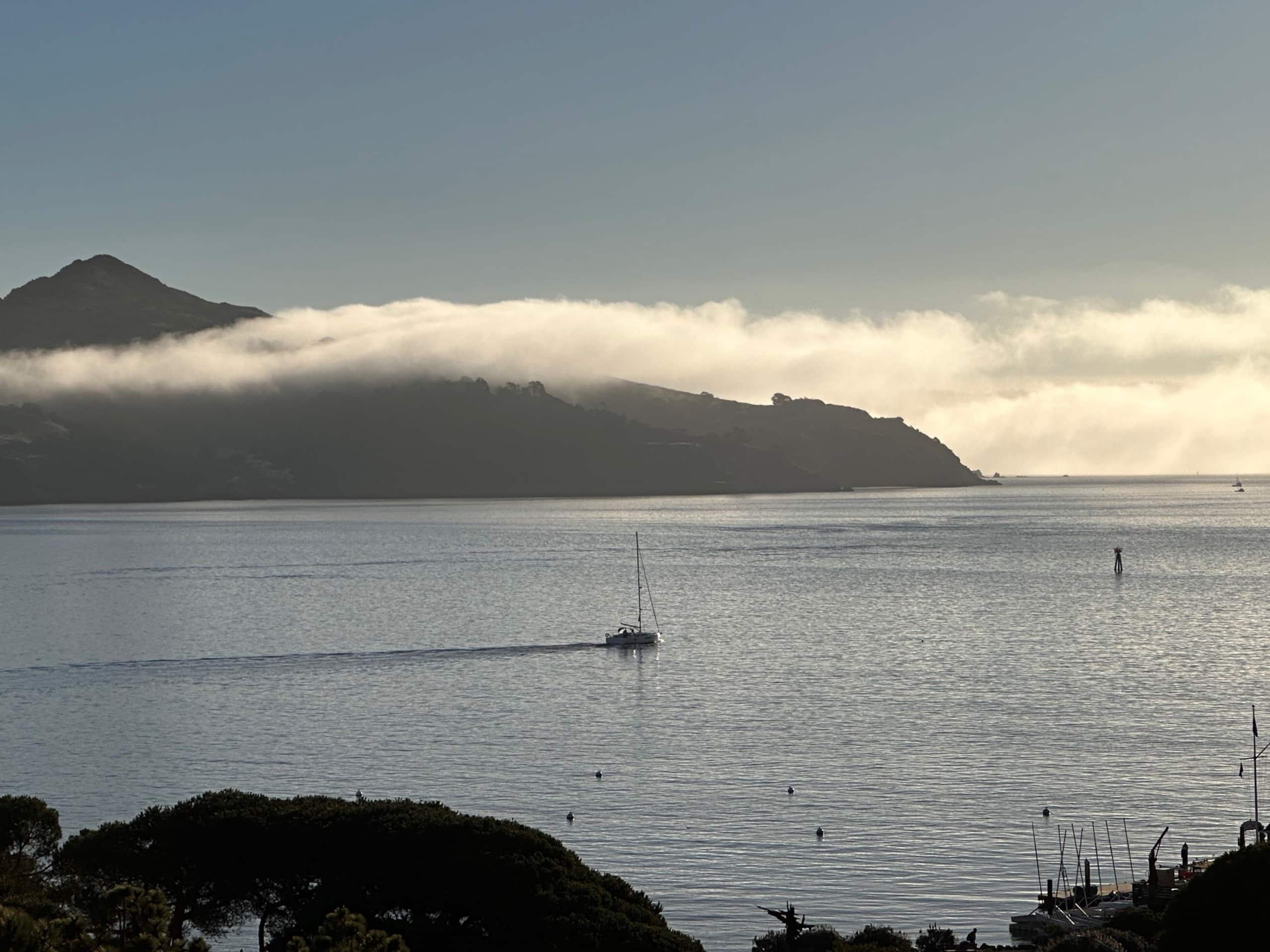 Sausalito Guesthouse Marina & SF Skyline Views - Photo 16