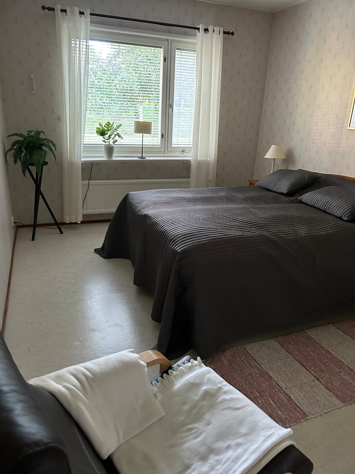 A comfortable sleeping area features a spacious bed dressed in dark bedding, complemented by soft lighting from a nearby lamp. A small plant is placed on a light-colored surface beside the window, which is adorned with sheer curtains, allowing natural light to filter through.