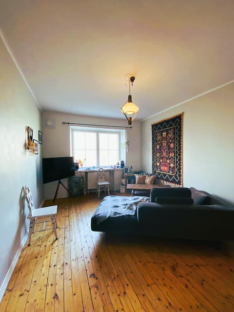 Successful Airbnb property: Apartment in Vallila in Vallila