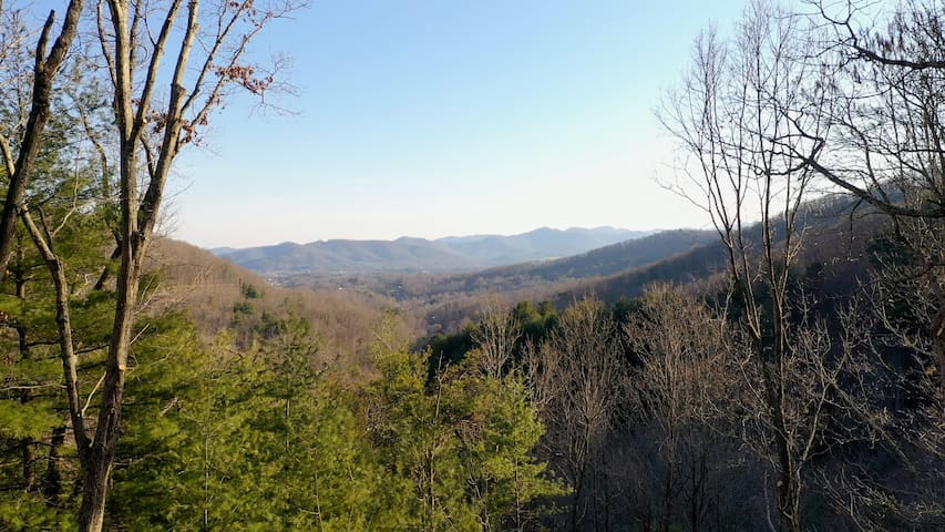 Birchwood Manor gallery image 2