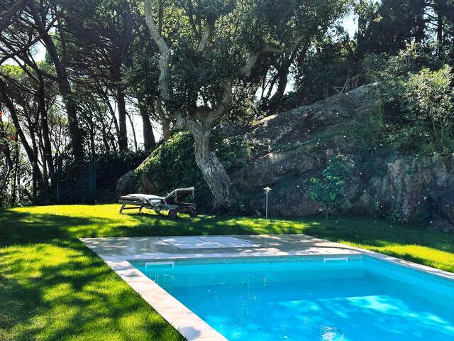 Chalet Vista Alegre gallery image 4