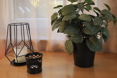 Top performing Airbnb: Quiet living near the forest in Krefeld
