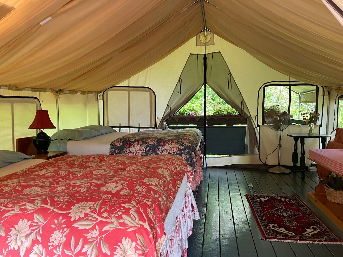 Two queen beds with down comforters