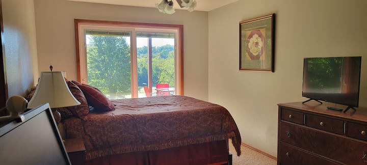 Second (aka back) bedroom looking out to patio