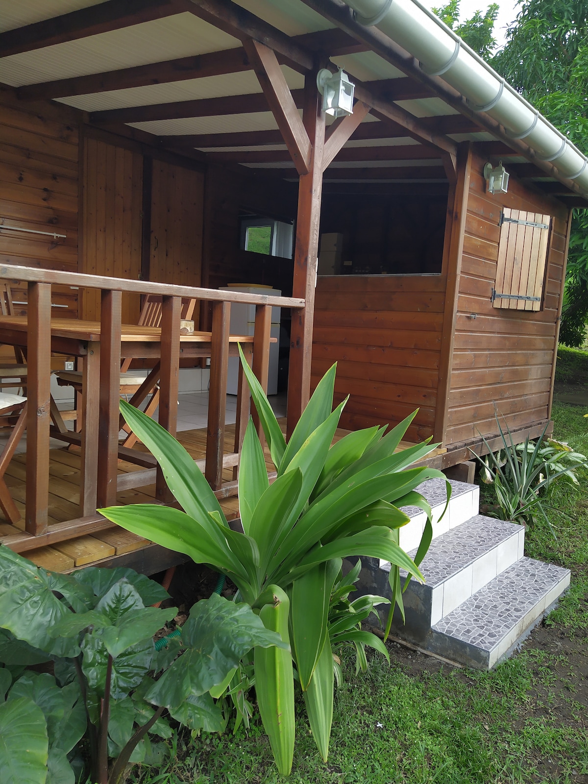 The entrance of a wooden bungalow is framed by lush greenery, leading up to sturdy steps. A spacious deck with wooden furniture is visible, offering an inviting space for relaxation. Natural light highlights the charming wooden structure.