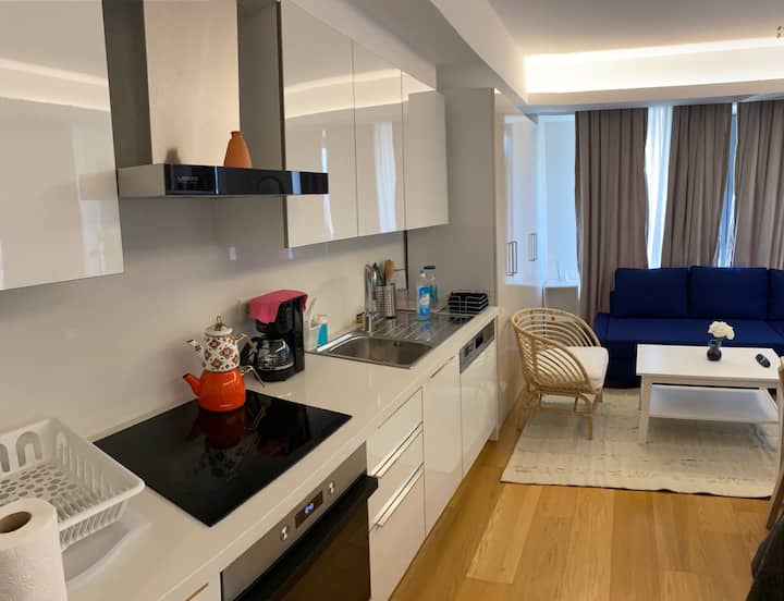 1+0 Studio Apartment Family Residence