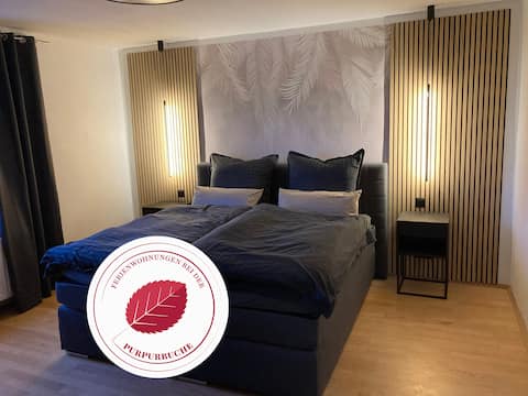 Top Airbnb: Apartment "Summit happiness at the Purpurbuche" in Bad Harzburg