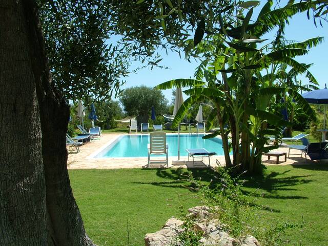 Evergreen Polignano a mare gallery image 5