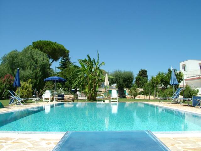 Evergreen Polignano a mare