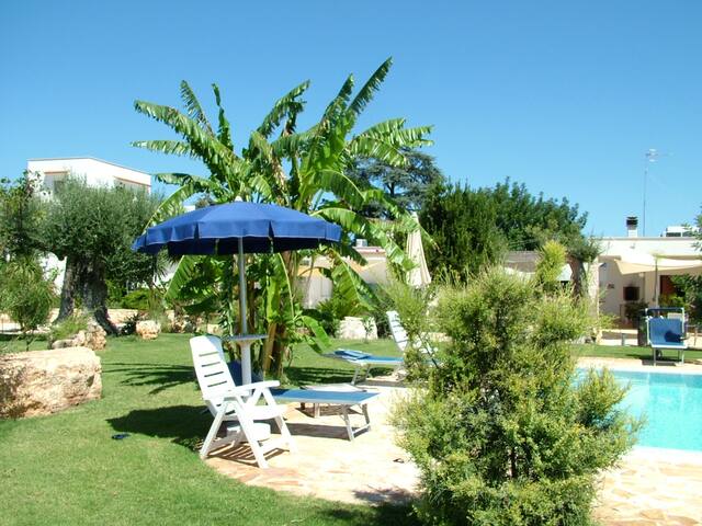 Evergreen Polignano a mare gallery image 2