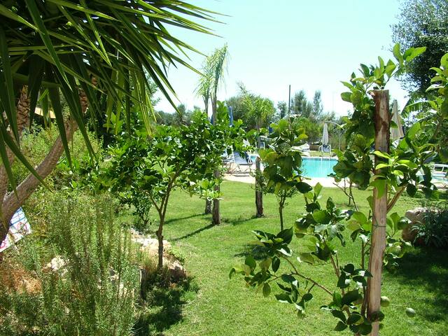 Evergreen Polignano a mare gallery image 3