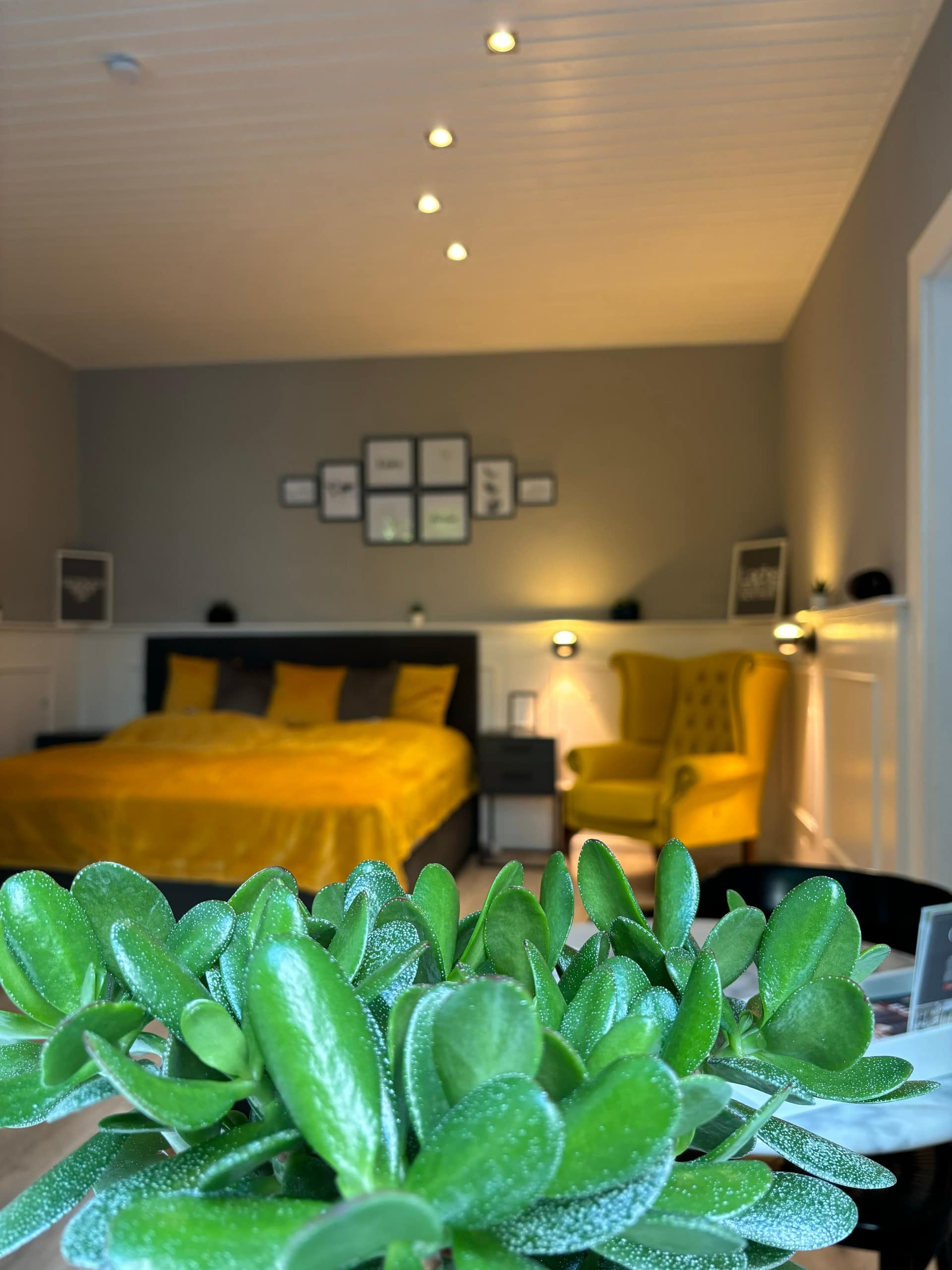 Quiet apartment in a good location