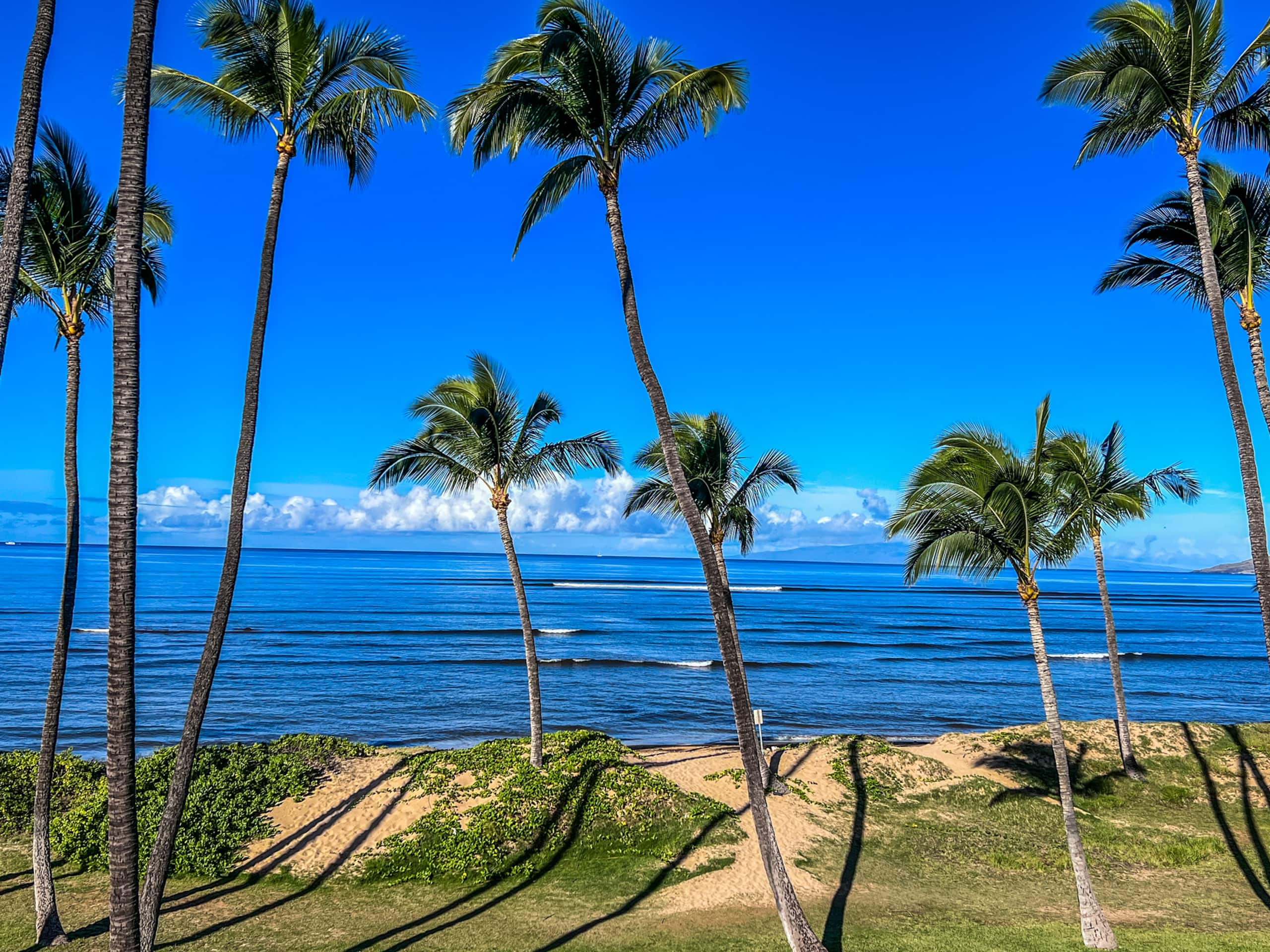 Condo in Kihei · ★4.95 · 1 bedroom · 3 beds · 1 bath - Image 23