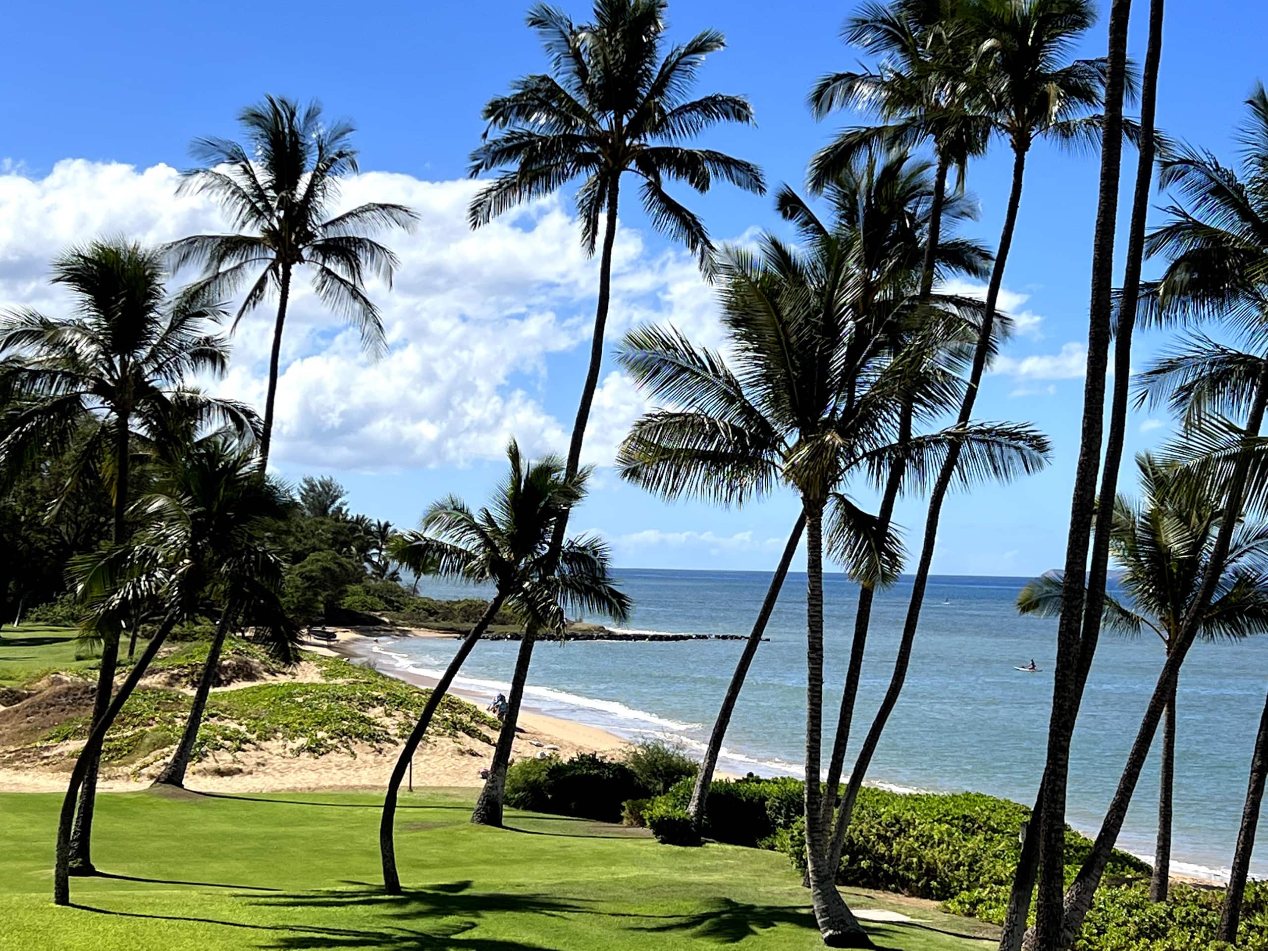 Condo in Kihei · ★4.95 · 1 bedroom · 3 beds · 1 bath - Image 21