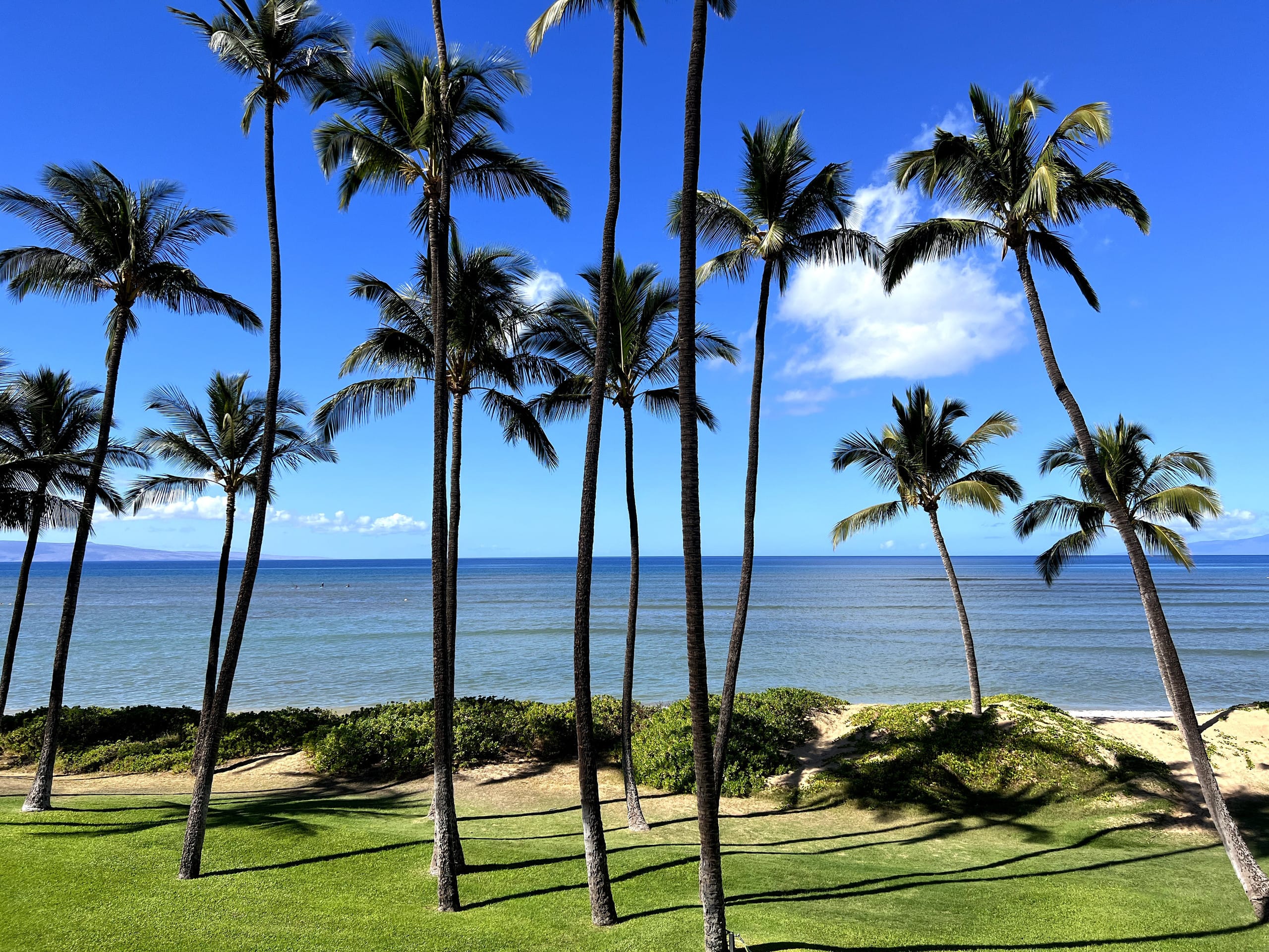 Condo in Kihei · ★4.95 · 1 bedroom · 3 beds · 1 bath - Image 22