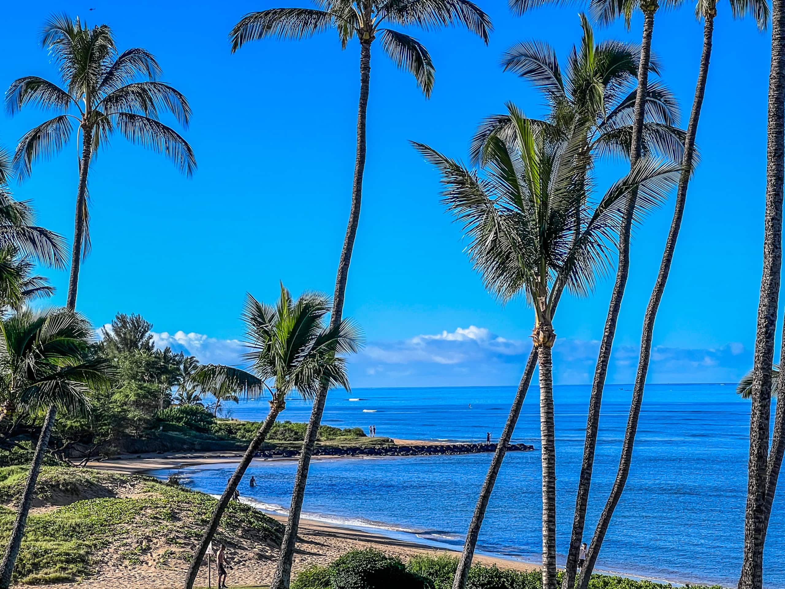 Condo in Kihei · ★4.95 · 1 bedroom · 3 beds · 1 bath - Image 19