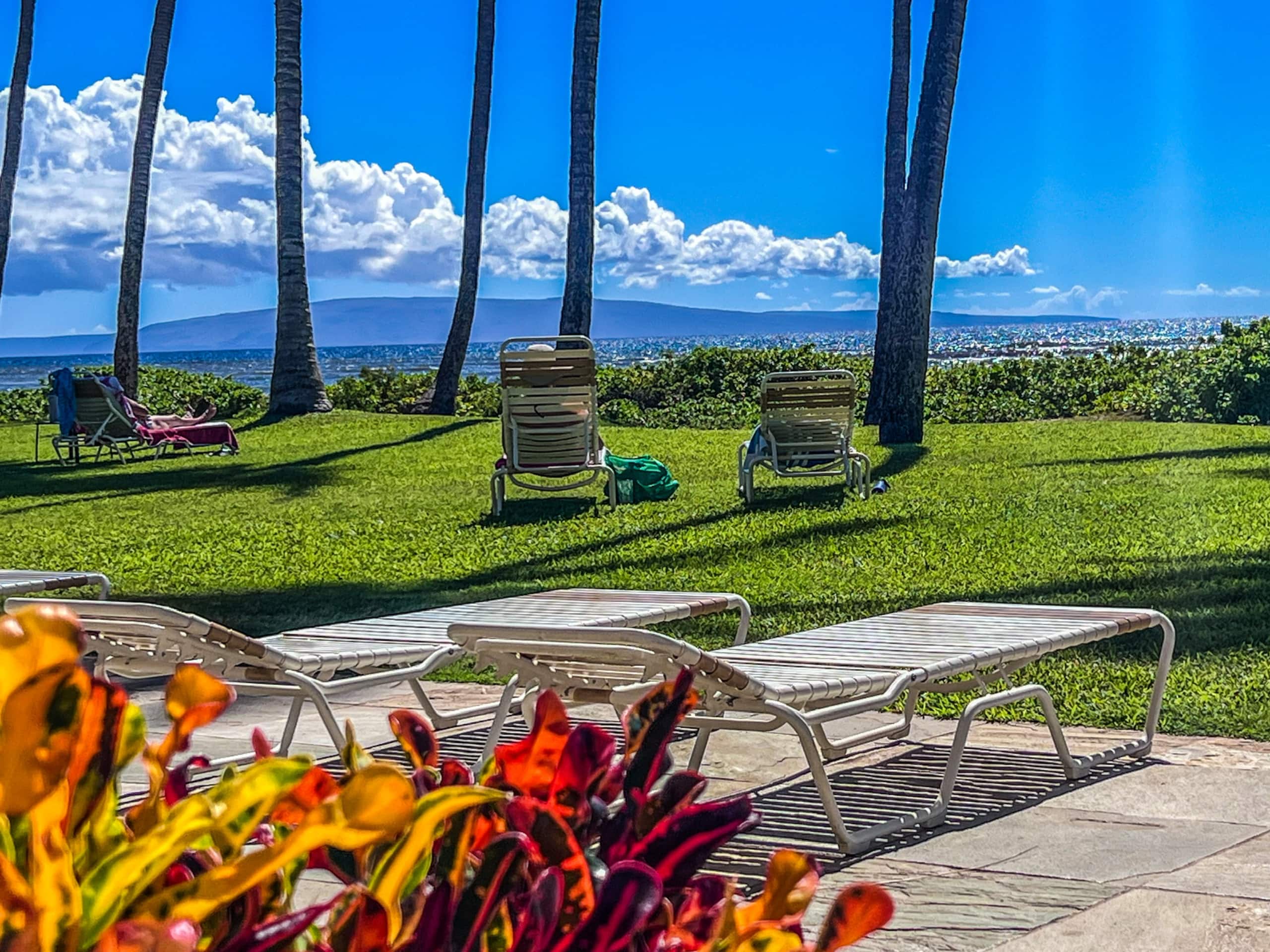 Condo in Kihei · ★4.95 · 1 bedroom · 3 beds · 1 bath - Image 24