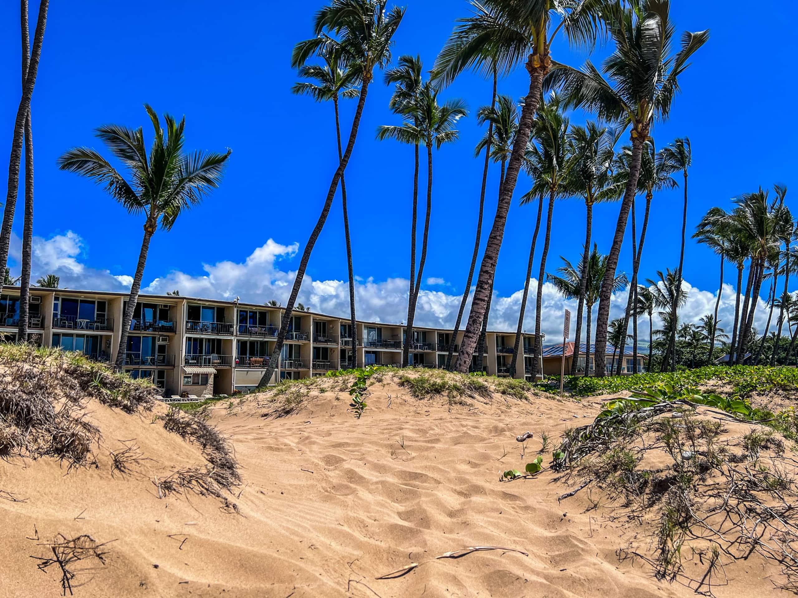 Condo in Kihei · ★4.95 · 1 bedroom · 3 beds · 1 bath - Image 25